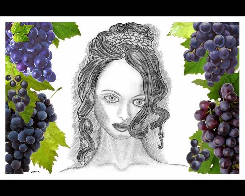 001 dessin desca etiquette de vin