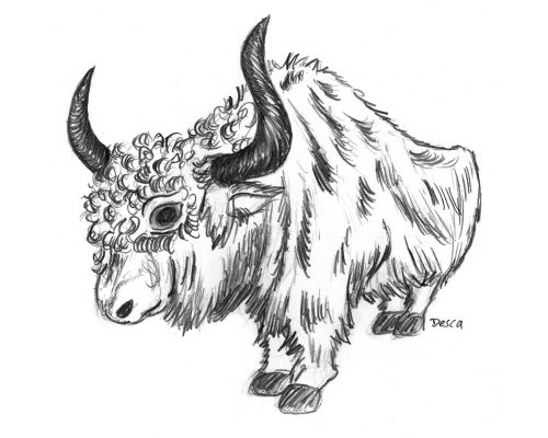 009 illustration presse dessin desca yack1