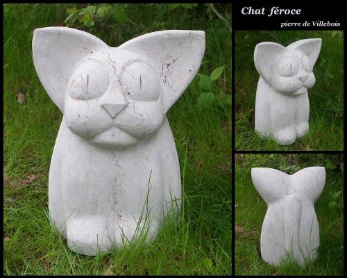 003-Chat-feroce