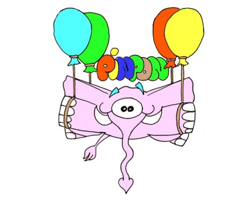 02 dessin desca pinpon vole