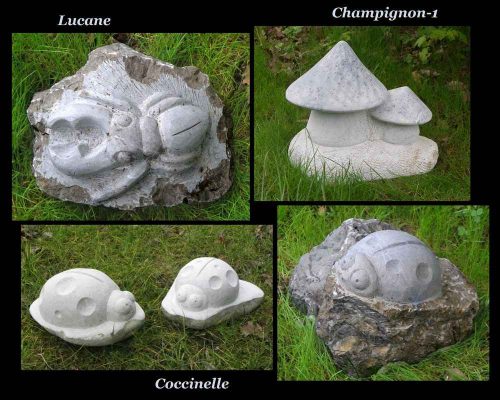 008-Lucane-Champi-Cocci