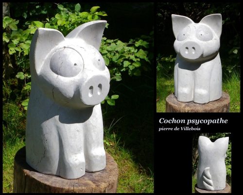 012-Cohon-psychopathe